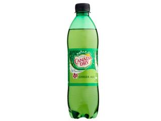 canada-dry-500-ml.jpg